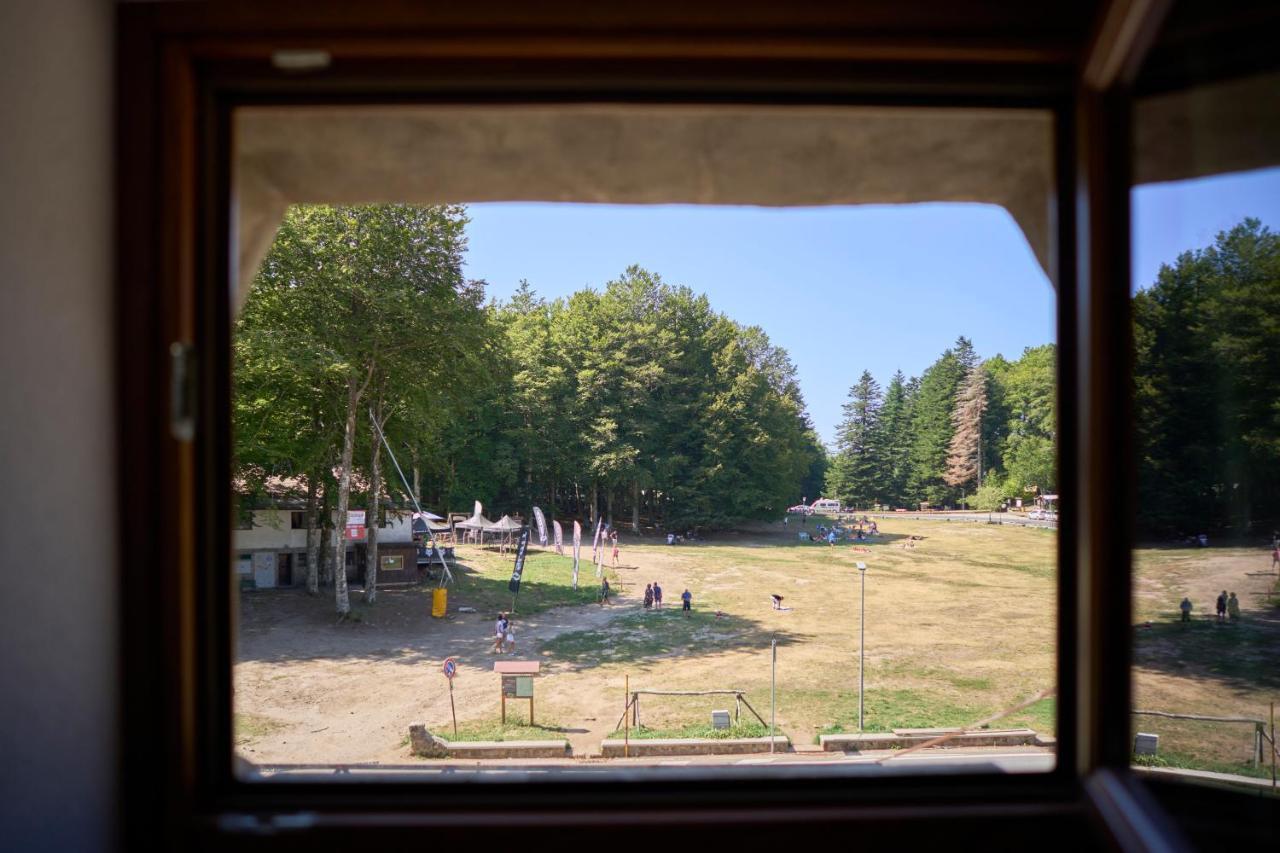 La - Monte Amiata - Apartment *